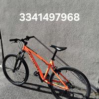 Varie biciclette