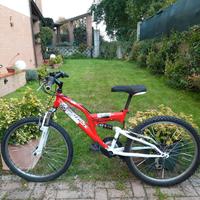 Bicicletta NetBike