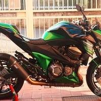 Kawasaki Z 800 - 2013