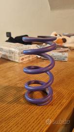 molla ammortizzatore formula mod 