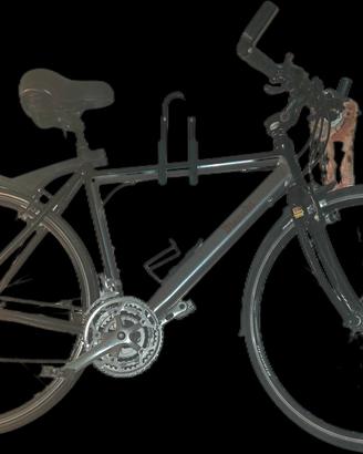 Bici city Bike Camaleonte Bianchi