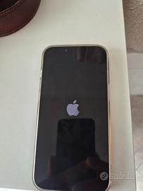 iphon 13 pro 