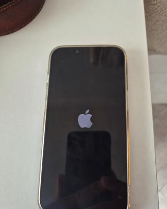 iphon 13 pro 
