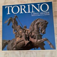 Libro illustrato Torino Carlo Grande