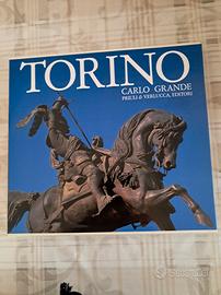 Libro illustrato Torino Carlo Grande