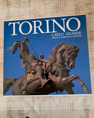 Libro illustrato Torino Carlo Grande