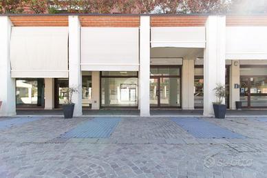 NEGOZIO A BORGOSATOLLO