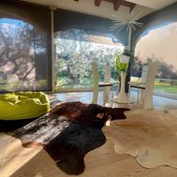 Porzione di testa finemente arredeta