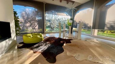 Porzione di testa finemente arredeta