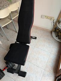 Panca multifunzionale regolabile homeGym + manubri