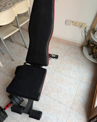 Panca multifunzionale regolabile homeGym + manubri