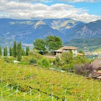 SASSO DI NOGAREDO: TERRENO EDIFICABILE !