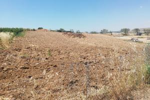 Appezzamento di terreno