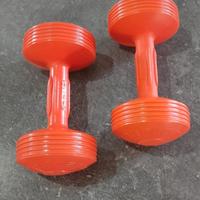 Coppia pesi pesetti 2kg