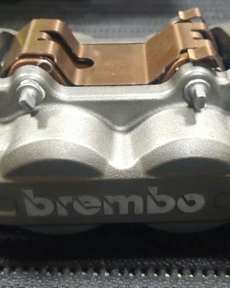 Pinze Brembo M4