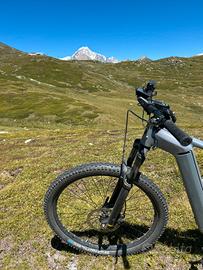 Bergamont mountain bike E-Revox Pro M e L-XL