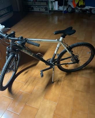 Bicicletta bitwin