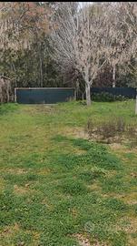 Terreno agricolo a SABAUDIA