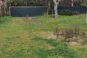 Terreno agricolo a SABAUDIA