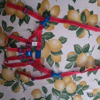 bretelle primi passi BabyOne