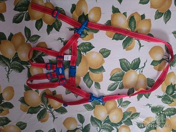 bretelle primi passi BabyOne