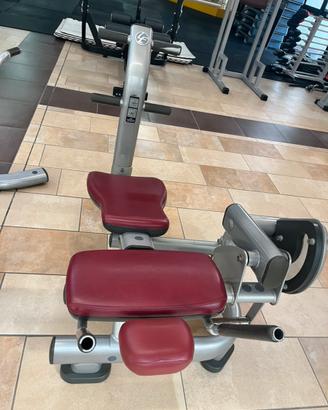 Macchina Addominali Life Fitness