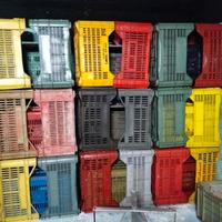 cassette per frutta o verdura