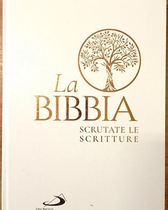 La Bibbia scrutate le scritture