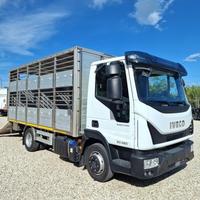 IVECO EUROCARGO 80E22 P E6 CASSA BESTIAME