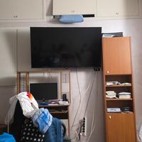 TV Panasonic 55 pollici