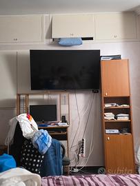 TV Panasonic 55 pollici
