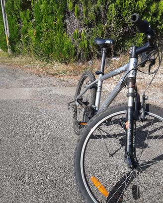 MTB da 24 pollici di colore argento per ragazzo/a