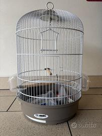 Gabbia per uccelli