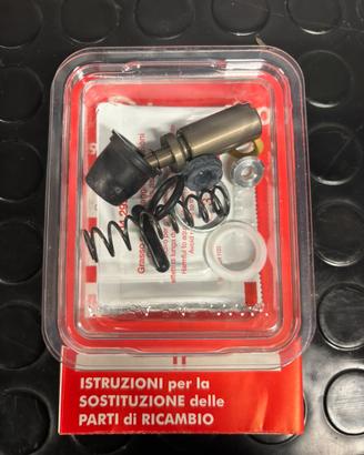 Kit revisione pompa freno PS 13 cod 10436250