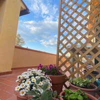 Casa vacanza Scarlino ,follonica