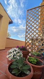 Casa vacanza Scarlino ,follonica