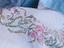 Immagine 6
