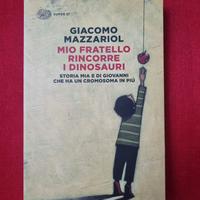 ibro Italiano Giacomo Mazzariol Mio Fratello Rinco
