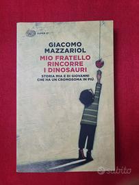 ibro Italiano Giacomo Mazzariol Mio Fratello Rinco