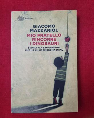 ibro Italiano Giacomo Mazzariol Mio Fratello Rinco