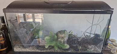 Acquario completo