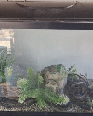 Acquario completo