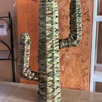 Cactus verde