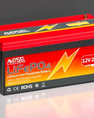 Batteria lifepo4 200 Ah 12Volt