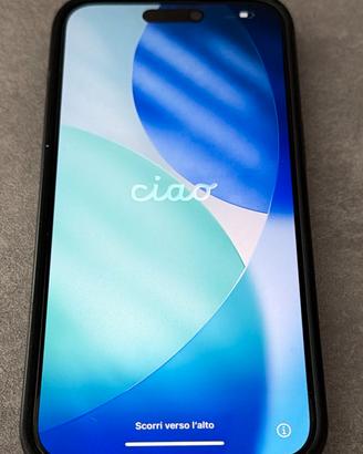 IPhone 15 Pro Max 256 GB
