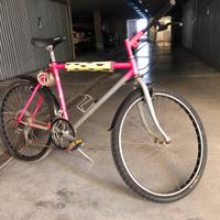 Mountain bike usata