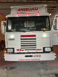 Trasporto bestiame animali vivi