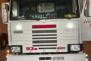 Trasporto bestiame animali vivi