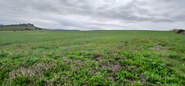 Terreno agricolo irrigabile