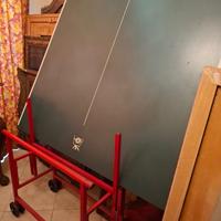 Tavolo da ping pong